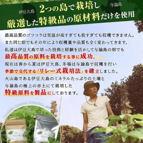 楽天市場 ゴツコラ ツボクサ ゴッコラ ゴツコーラ のサプリメント 国産の農薬不使用 高鮮度のゴツコラを使用 しまのだいち