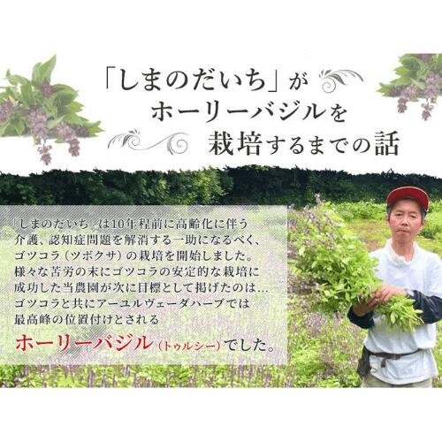 楽天市場 国産ホーリーバジル トゥルシー のサプリメント 国産の農薬未使用で高品質のホーリーバジル オオヤトゥルシー を使用 しまのだいち 楽天市場 国産ホーリーバジル トゥルシー のサプリメント 国産の農薬未使用で高品質のホーリーバジル オオヤトゥルシー を使用 しまのだいち