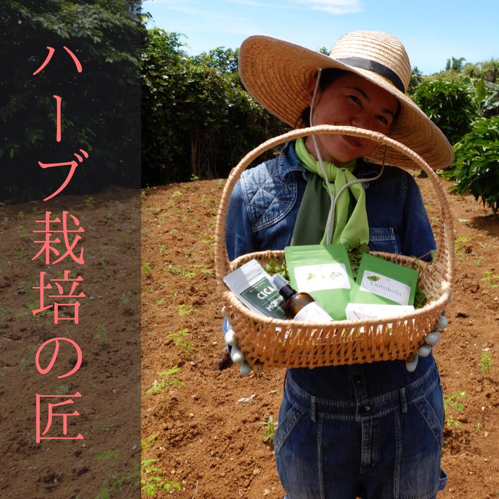 最初の ビデンス ピローサのサプリメント 与論島の農薬不使用 高鮮度原料 ビデンス茶をサービス中 レビューを書いて次回10％割引クーポンゲット  toyama-nozai.co.jp