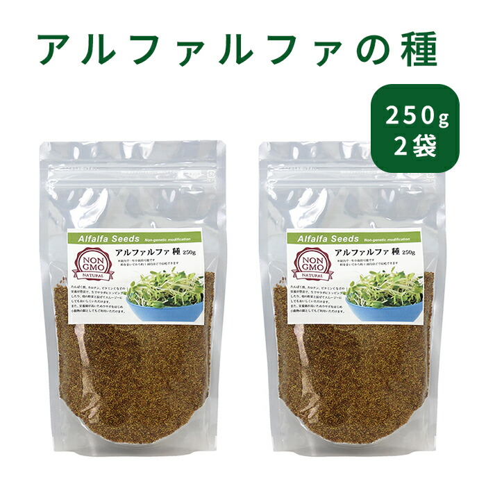 楽天市場】アルファルファ 種 1kg 高品質 業務用 オーストラリア