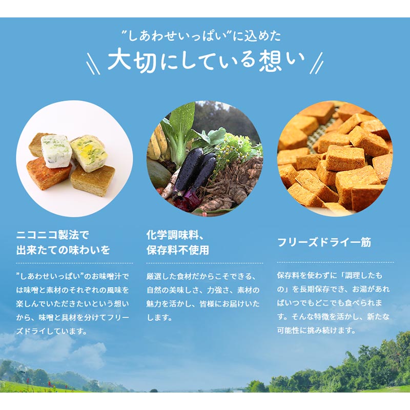 超激安 味噌汁 フリーズドライ ギフト おすすめ10食セット お供え コスモス食品 超合わせみそ汁 敬老の日 残暑見舞い プレゼント 高級 即席  業務用 インスタント セット 化学調味料無添加 有機内祝 お返し お祝い 非常食 防災 備蓄 単身赴任  www.dreamhomerealestate.al