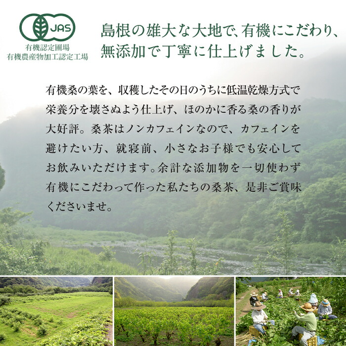 有機菊芋桑茶 ティーパック 30包 DNJ 有機桑茶 イヌリン 便秘 有機菊芋 しまね有機ファーム ノンカフェイン Q3MG ダイエット ビタミン  天然ミネラル 食物繊維 血糖値 糖質制限 桜江町桑茶 (嶋) 惣菜