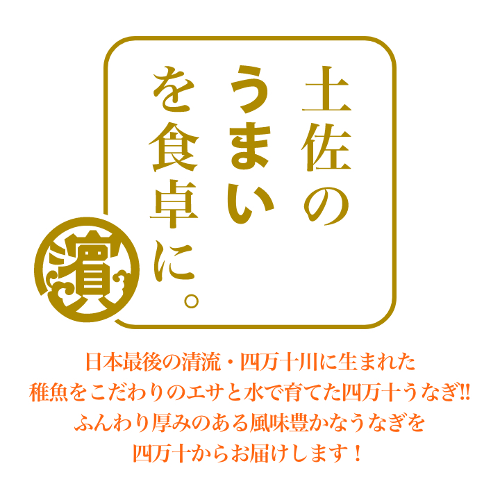 国内造る はらりぱらりにおい0 おストアの心にくいがご邸宅で味わえます 食べ応えふんだん 戴物に喜ばれる ジャンボ四万十ウナギ2テール 山椒 タレ幸運 贈物 お父さまの太陽日 丑の日 敬老の日 お中元 お歳暮 Maxani Nl