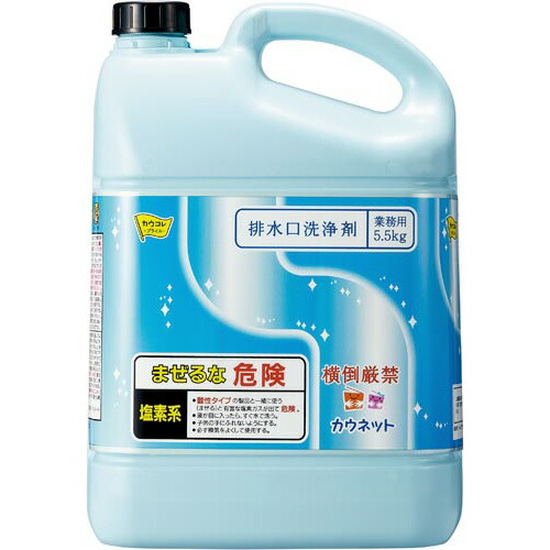 カウサイバー空間 水抜き口洗い濯ぎ剤 5．5kg 4263-3907 ★10個容器に並べる