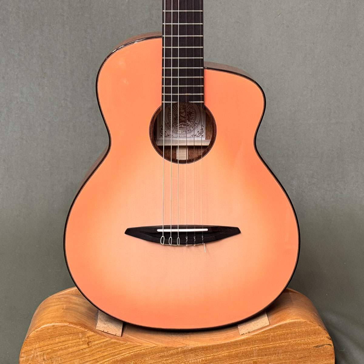 【新品】aNueNue N520E / アヌエヌエ Nino 520SPE / ギグケース付き 42,900円