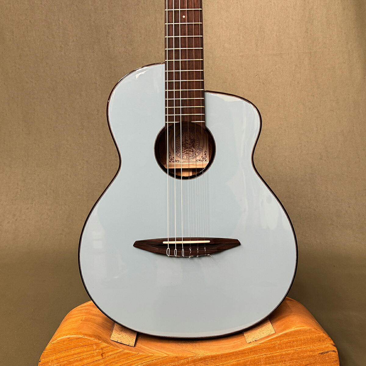 【新品】aNueNue N520E / アヌエヌエ Nino 520SB E / ギグケース付き