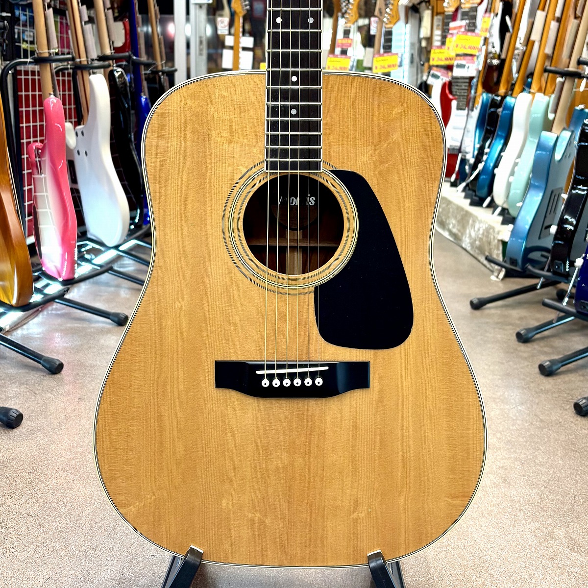 【中古】Morris MA-30 Morris ソフトケース付き｜下倉楽器　店