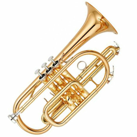 楽天市場】YAMAHA コルネット YCR-8335【初心者にも嬉しい入門・ケア