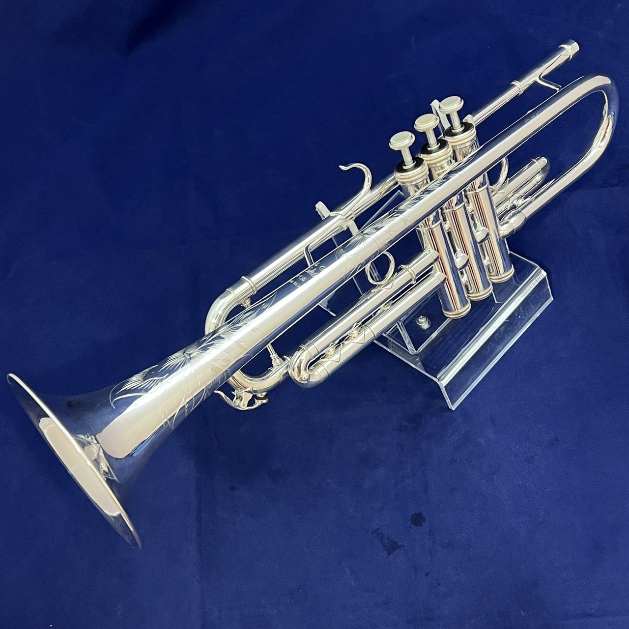 【中古】S.E.Shires Model.BLW｜下倉楽器　店 214,500円