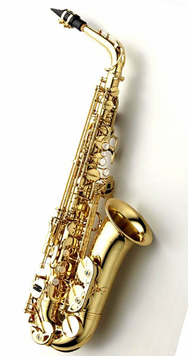 楽天市場】Alto SaxophoneYANAGISAWA A-WO2 : 下倉楽器 楽天市場店