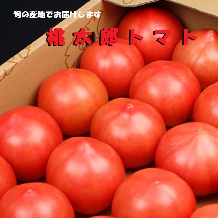 桃太郎トマト約２Ｋ箱【Ｌ～２Ｌサイズ】<br>岐阜・福井県産他厳選産地<br>なんと！２箱お買い上げの方にプレゼントがあります！！【送料無料】<br>