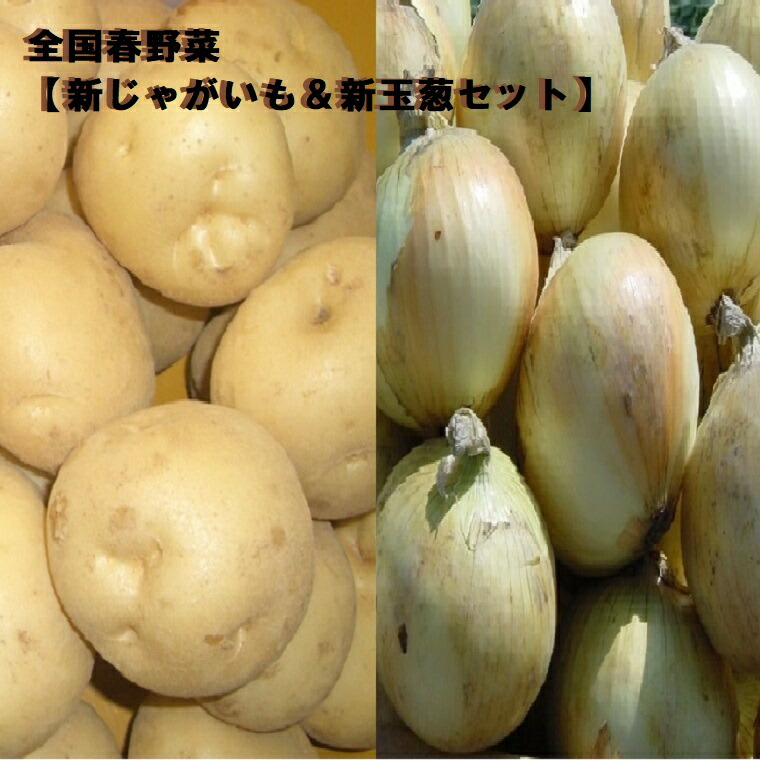 【春野菜セット】お試し約１Kg・約2kg　4kg　8kg入り【新じゃがいも＋新玉葱セット】 全国　国産・九州・鹿児島・長崎・佐賀・兵庫等《送料無料》カレ－セット・シチュ－セット・常備野菜として・主婦の味方