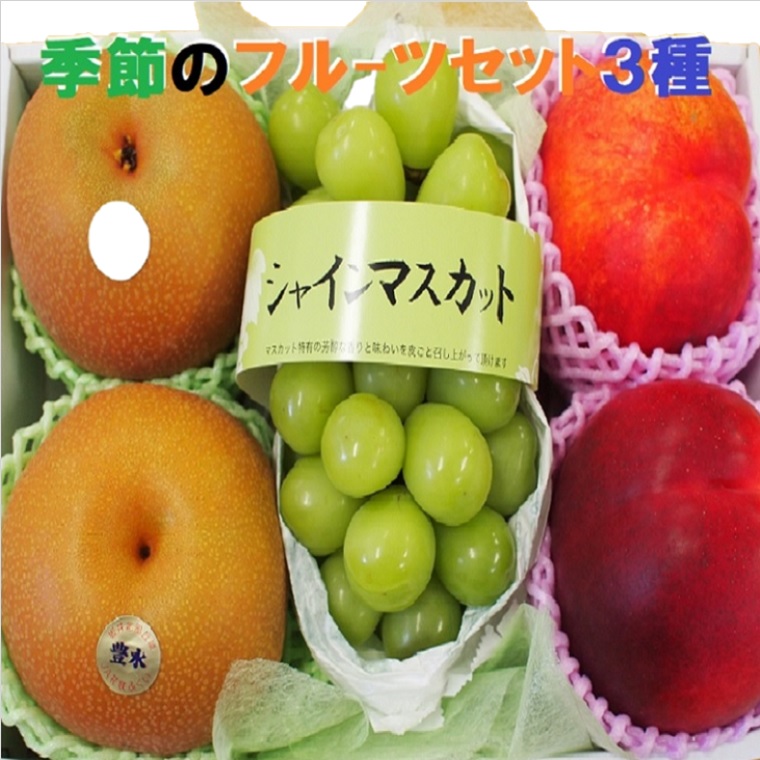 果物ギフト フルーツセット  食の宝石箱【Ｂ－３】旬のフルーツ ３種 ギフト 化粧箱<br>お中元御祝内祝い御見舞い 御歳暮 手土産 お供え 敬老の日 果物 詰め合わせ フルーツ 盛り合わせ 多種ギフトに最適！大粒ぶどう 和梨 桃 柑橘 林檎 送料無料