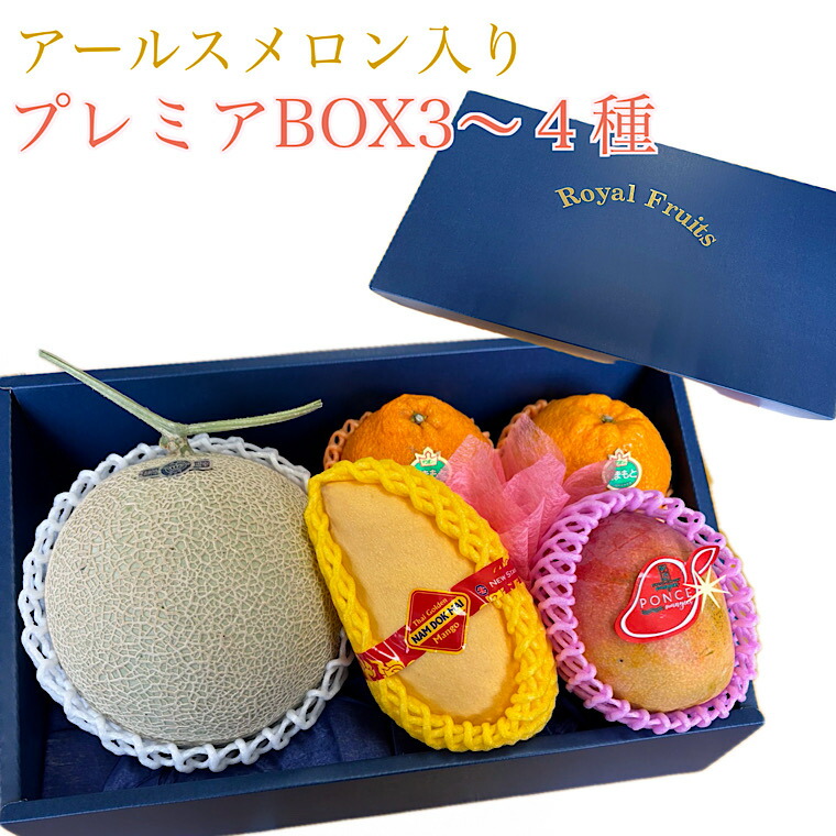 果物ギフト 食の宝石箱 【プレミアボックス３～４種入り】  <br> アールスメロン 入りフルーツ セット 化粧箱  <br>御歳暮  母の日父の日敬老の日御年始御見舞い内祝い御祝 法事 お供え お中元  果物 詰め合わせ