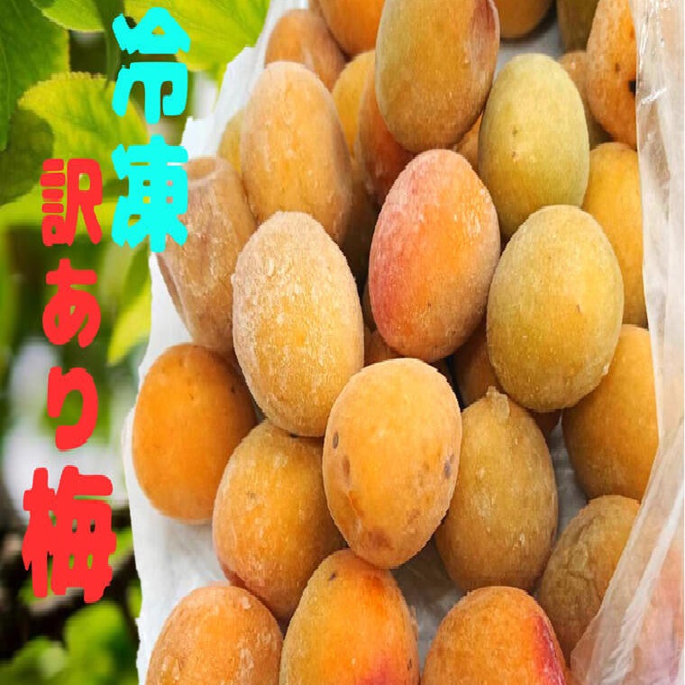 楽天市場】冷凍梅(生梅・青梅)品種＝露茜（つゆあかね）1キロ【紀州