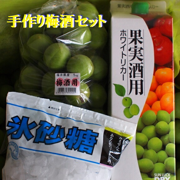 【梅セット】ふくい宝石箱【３】健康長寿を願う、梅酒手作りセット<br>期間限定予約商品　福井手作り梅酒セット<br>（福井梅約１Ｋ、ホワイトリカー、氷砂糖）<br>梅・青梅・生梅・完熟梅・父の日６月上旬ころから順次発送予定　送料無料