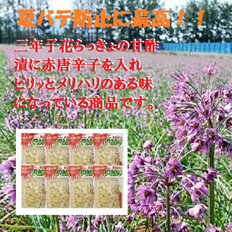 市場 福井県三里浜 ピリカリ １００g ２０袋セット漬物 三年子花らっきょう ラッキョウ