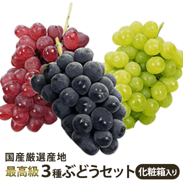 みなみん勝沼産ぶどう3kg みなみん勝沼産ぶどう3kg 楽天市場】［葡萄 3色3kg ］［ぶどうば