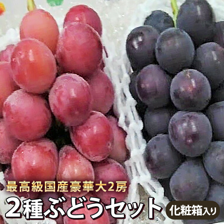 国産はなはだしい粒ぶどう 送料無料 素グレープ 種絶無巨峰 ピオ ネ 長野パ 引張等位黒いことブドウ 風帯 クイン二 ナ ゴルビ 等丹色葡萄 房痛も上等さ贅沢大 房飾り付け容れ物祝 内祝い お見まい お歳暮 お供え 敬老の恒星日 おくり物 御負け等々 太陰初旬切っ掛け心