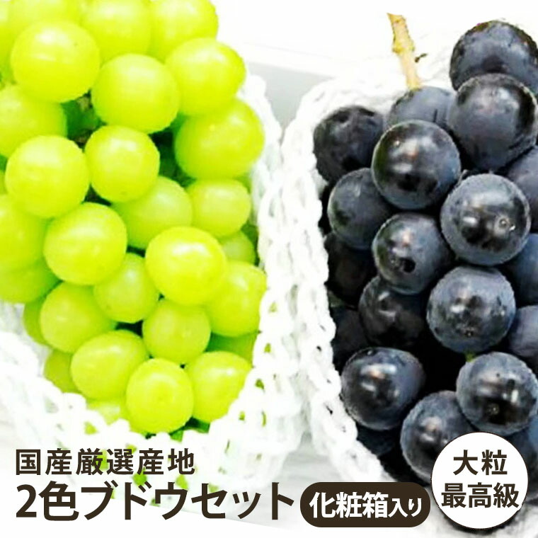 楽天市場】［葡萄 3色3kg ］［ぶどうばたけ］【 山梨県産 勝沼