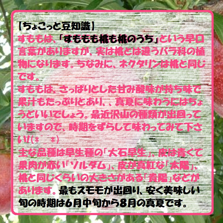 山梨県産【貴陽プラム】秀大玉8〜10玉化粧箱7月下旬頃からの予定です。
