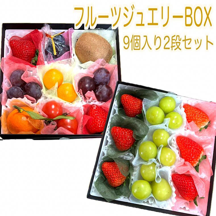 【フルーツ ジュエリー ボックス９個入り2段重ね 】食の宝石箱  <br>化粧箱入り ※1段目と2段目は中身が違います※<br>バレンタインホワイトデー  ひなまつり プレゼント 誕生日 母の日 父の日 敬老の日 入学祝  内祝 御祝 クリスマス 御供