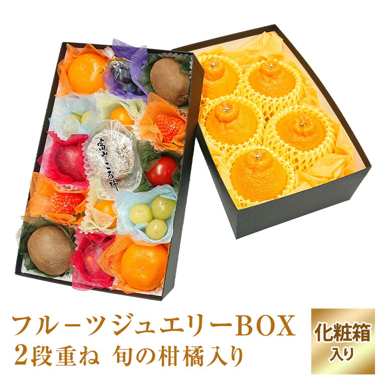 季節限定の柑橘【フルーツ ジュエリーBOX１５個　柑橘４～６個入り2段重ねセット 】せとか でこぽん あいか 紅マドンナ等 旬の柑橘 食の宝石箱  <br> 化粧箱 セット　プチギフトフルーツ　フル－ツ お祝 御礼 <br>ギフトプレゼント 内祝 御祝 御供 御歳暮 手土産 お正月