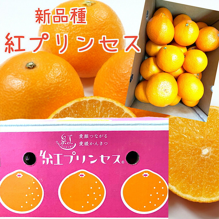 紅プリンセス みかん Lサイズ 5kg 楽天市場】【紅プリンセス】優品 約1kg 約3kg 約5kg入り1ケース愛媛県