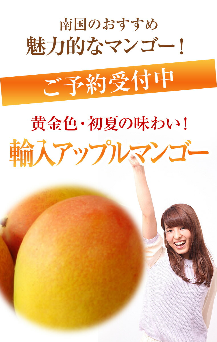 現金特価 楽天市場 輸入アップルマンゴー ケント種 約５ｋ１２ １６玉箱送料無料 プレゼント ギフト パ ティ 手土産 誕生日 お礼 フルーツ 果物 内祝い お供え 果物 贈り物 お返し 子供の日 入学祝 父の日 母の日等に 福井くいしんぼ楽天市場店 数量は多