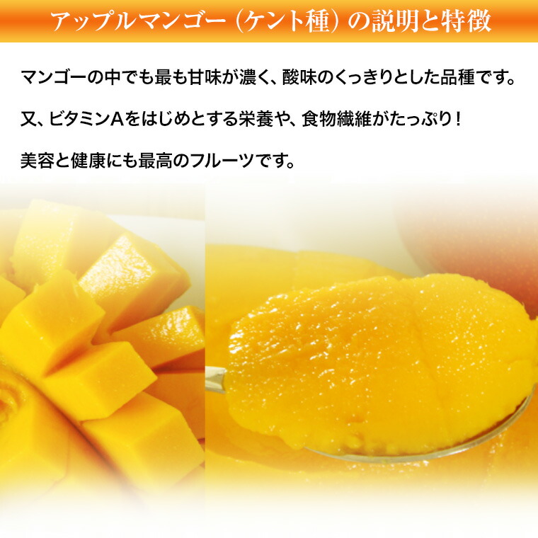 現金特価 楽天市場 輸入アップルマンゴー ケント種 約５ｋ１２ １６玉箱送料無料 プレゼント ギフト パ ティ 手土産 誕生日 お礼 フルーツ 果物 内祝い お供え 果物 贈り物 お返し 子供の日 入学祝 父の日 母の日等に 福井くいしんぼ楽天市場店 数量は多