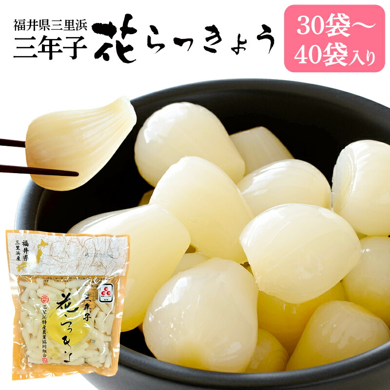 楽天市場】福井県産 花らっきょう （三年子） 70g袋入り国産 福井県