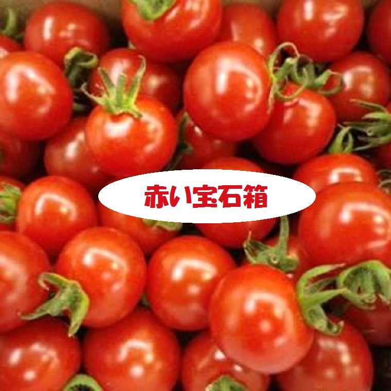 lionsun　玄米10kg  あまか芋3kg  キャロルセブン2kg 完熟ミニトマト キャロルセブン 2kg 甘い高糖度トマト | 和歌山