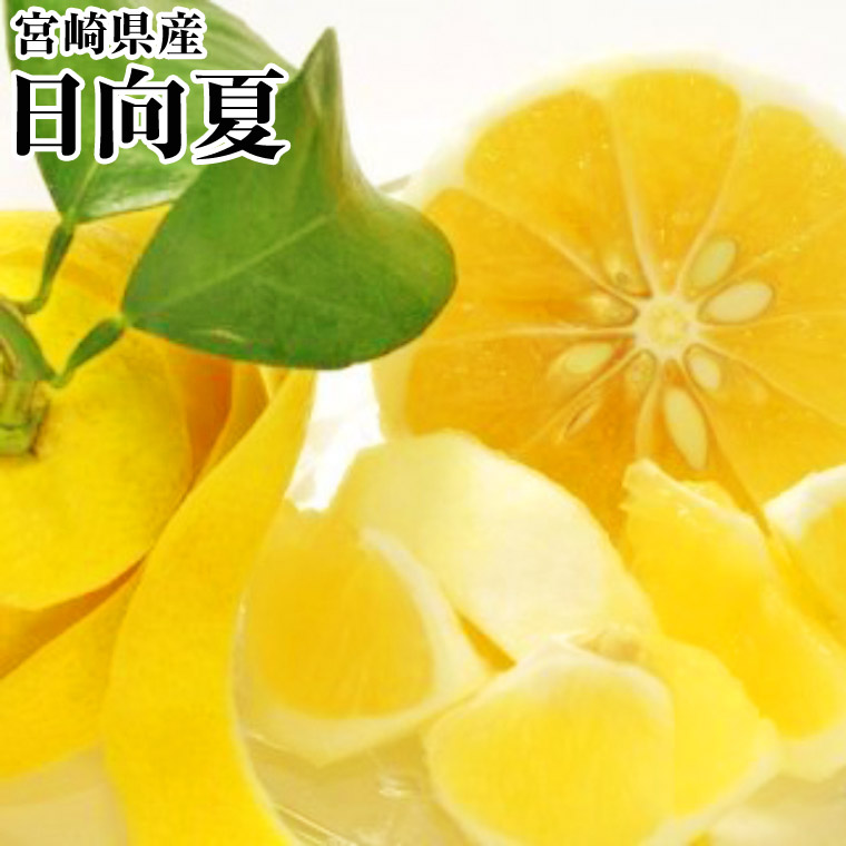 楽天市場】宮崎県産 日向夏 「日向夏ちゃん」 A等級 M〜Lサイズ 5kg