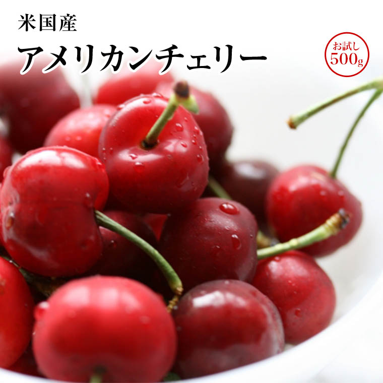 楽天市場 ポッキリ企画 アメリカンチェリーお試し５００ｇ入り箱 ビング種 ５月中旬頃から予定 福井くいしんぼ楽天市場店