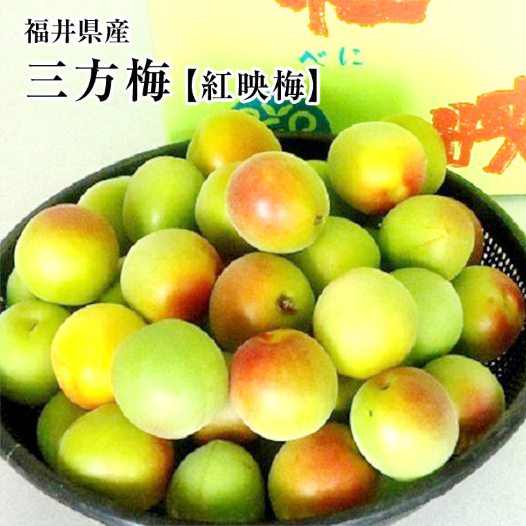 送料無料 ブランド梅 福井県三方梅 紅映 べにさし訳ありＢ級品 約５Ｋ ...