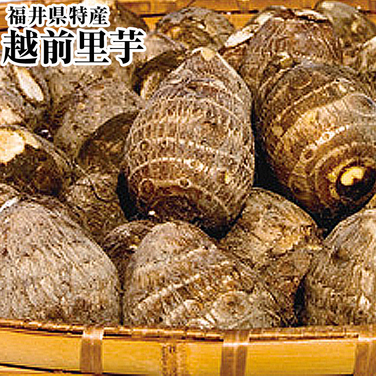 楽天市場】送料無料 上庄の里芋 さといも 10kg入 大粒 LLサイズ