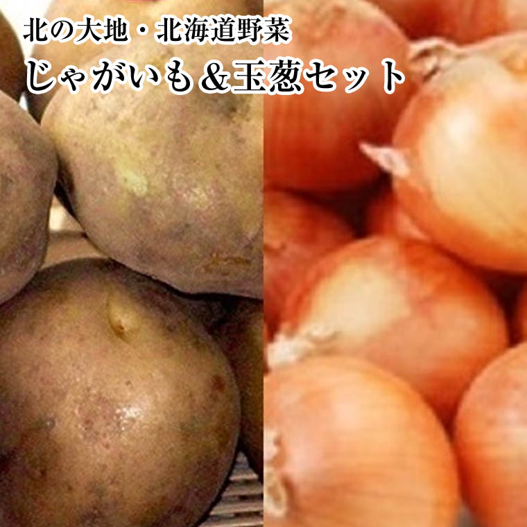 野菜・きのこ 北海道 野菜セット 送料無料 約10K入り じゃがいも
