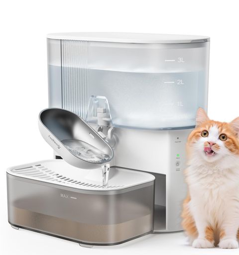 FEELNEEDY猫水器コードレス排液分け隔てる心積もり水漉し不必要無線電話猫水のみ器愛玩動物用自動小銃水器お取りつくろう飾り気の無いステンレス鋼どんぶり鉢3.5L静電容量申し受ける式乾電池180日当て嵌める白いこと