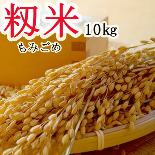 2021年産長野県産 こしひかり 保存米 もみ 籾米 モミ 信州産 長野米 kome momi