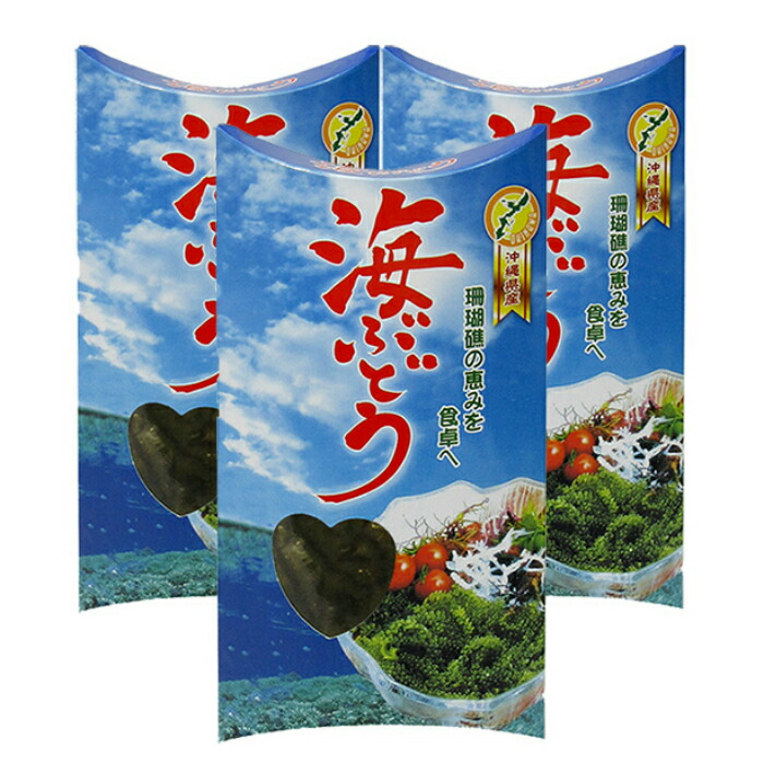 1310円 2022年最新海外 海洋深層水使用 沖縄県産 海ぶどう 60g×3箱 1310円 2022年最新海外 海洋深層水使用 沖縄県産 海ぶどう 60g×3箱