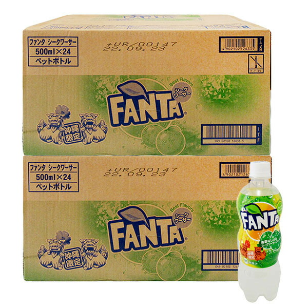 沖縄限定 ファンタ シークヮーサー 500ml×48本セット 全国送料無料 沖縄お土産 炭酸飲料|新栄商店
