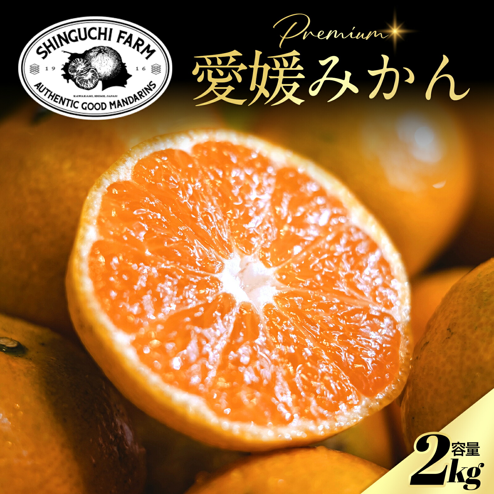 ミカン 島みかんサイダー / レガーレ・ワキタ