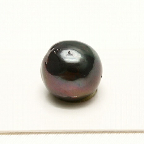 楽天市場】タヒチ黒蝶真珠パールルース 両穴 15mm ブラック 楽天市場】タヒチ黒蝶真珠パールルース 両穴 15mm ブラック