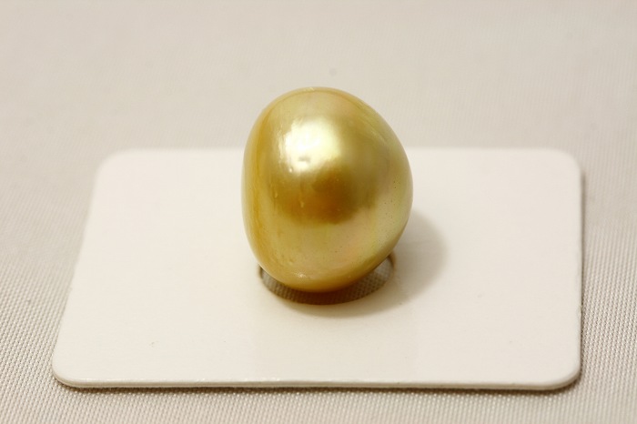 南洋白蝶真珠パールルース 両穴 15mm ナチュラルゴールドカラー|真珠倶楽部