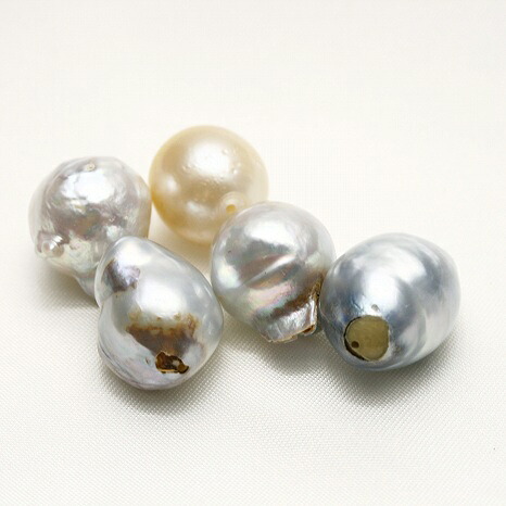 南洋白蝶真珠パールルース 両穴 5ピース 13-12mm マルチカラー|真珠倶楽部