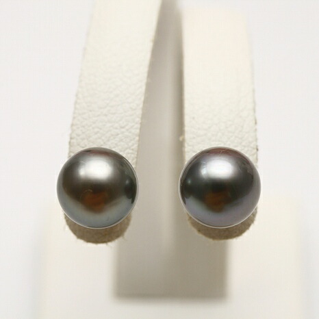 【ふるさと割】 楽天市場】タヒチ黒蝶真珠パールピアス 7mm グリーンカラー 真珠