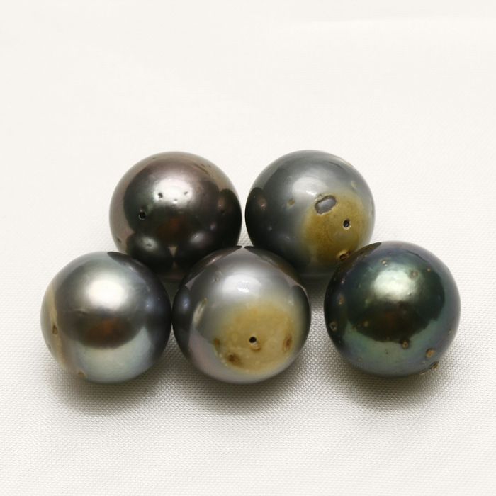タヒチ黒蝶真珠パールルース 両穴 5ピース 15mm マルチカラー|真珠倶楽部