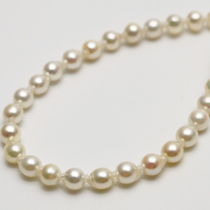 楽天市場】アコヤ真珠パールネックレス 4.5-6.5mm クリーム