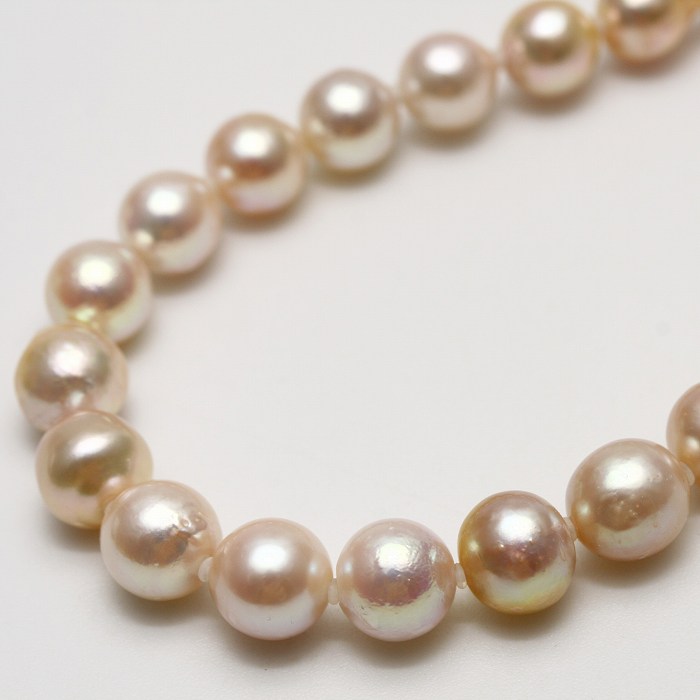 楽天市場】【あこや真珠 ピスタチオ マルチカラーネックレス 7.5-8mm
