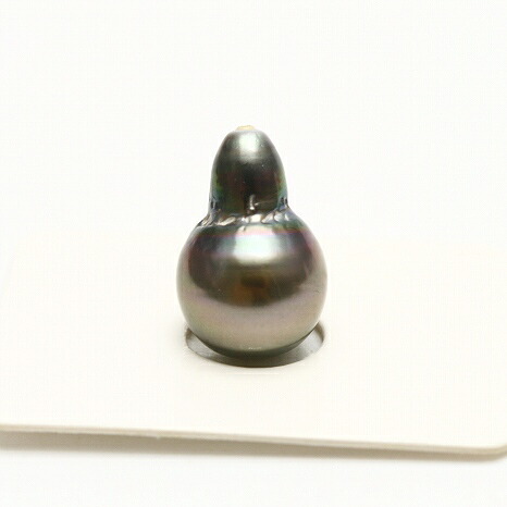 タヒチ黒蝶真珠パールルース 17×11mm グリーンブラックカラー|真珠倶楽部